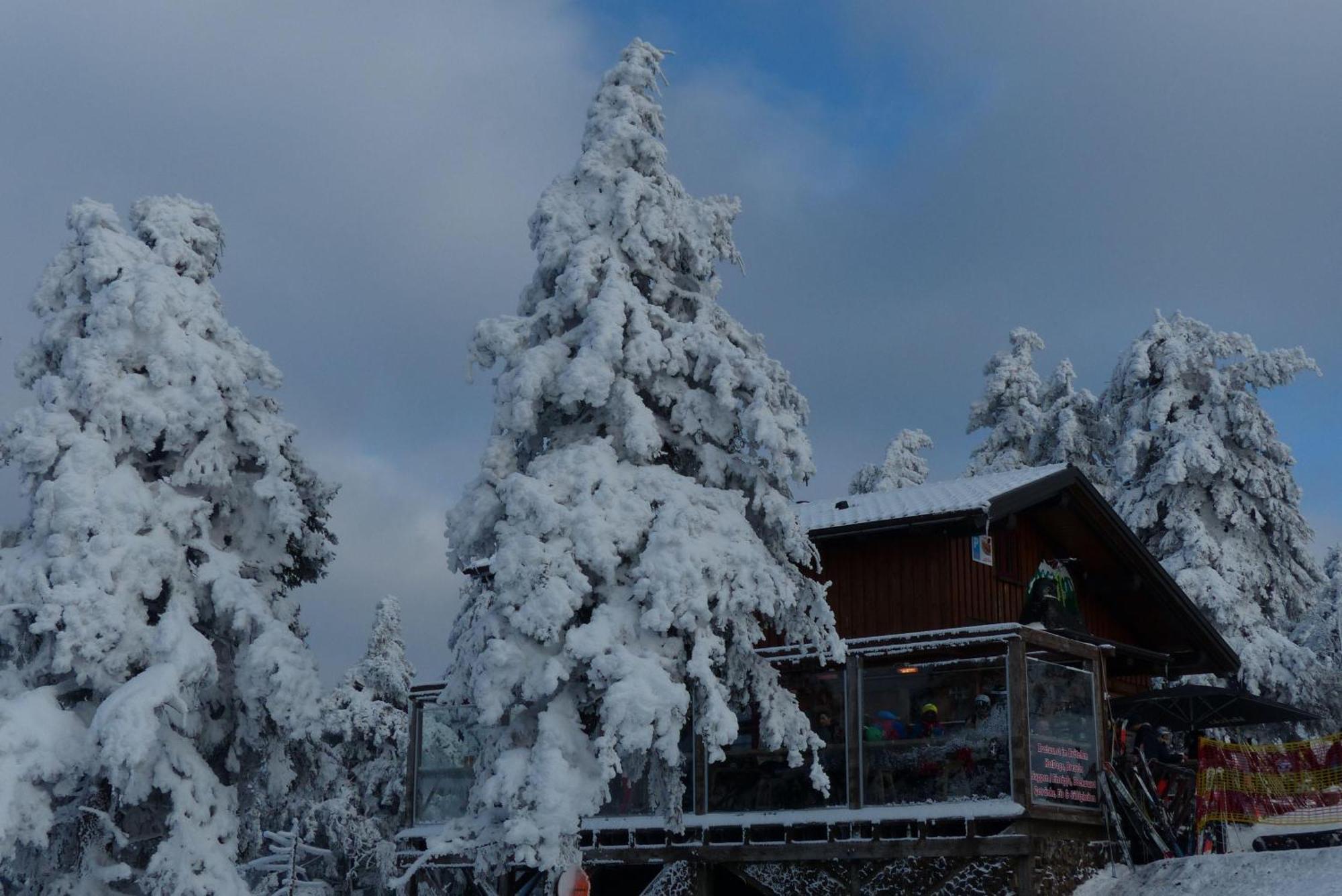 Ferienresidenz An Der Bode, Wohnung 1 Braunlage Eksteriør bilde
