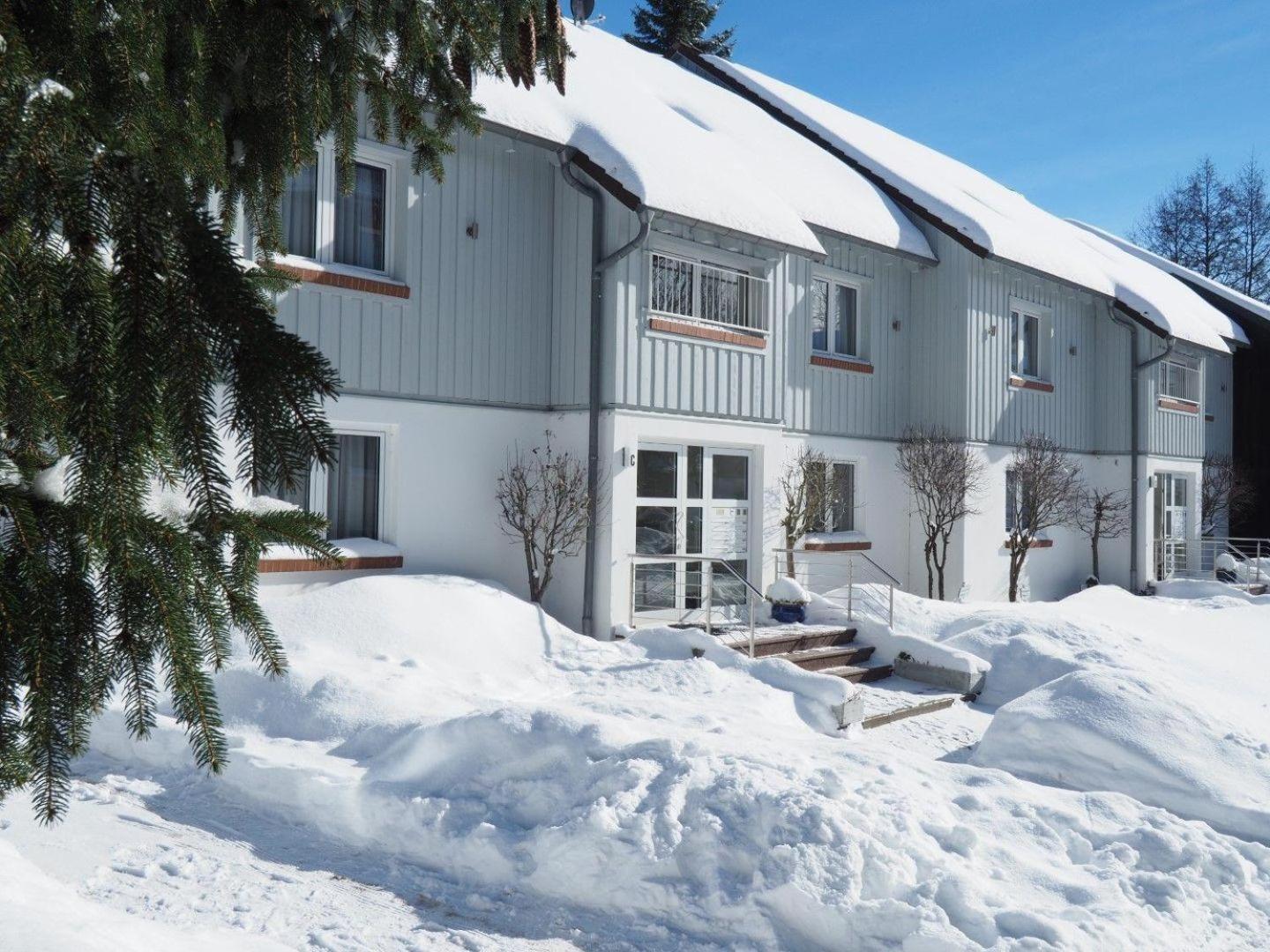 Ferienresidenz An Der Bode, Wohnung 1 Braunlage Eksteriør bilde